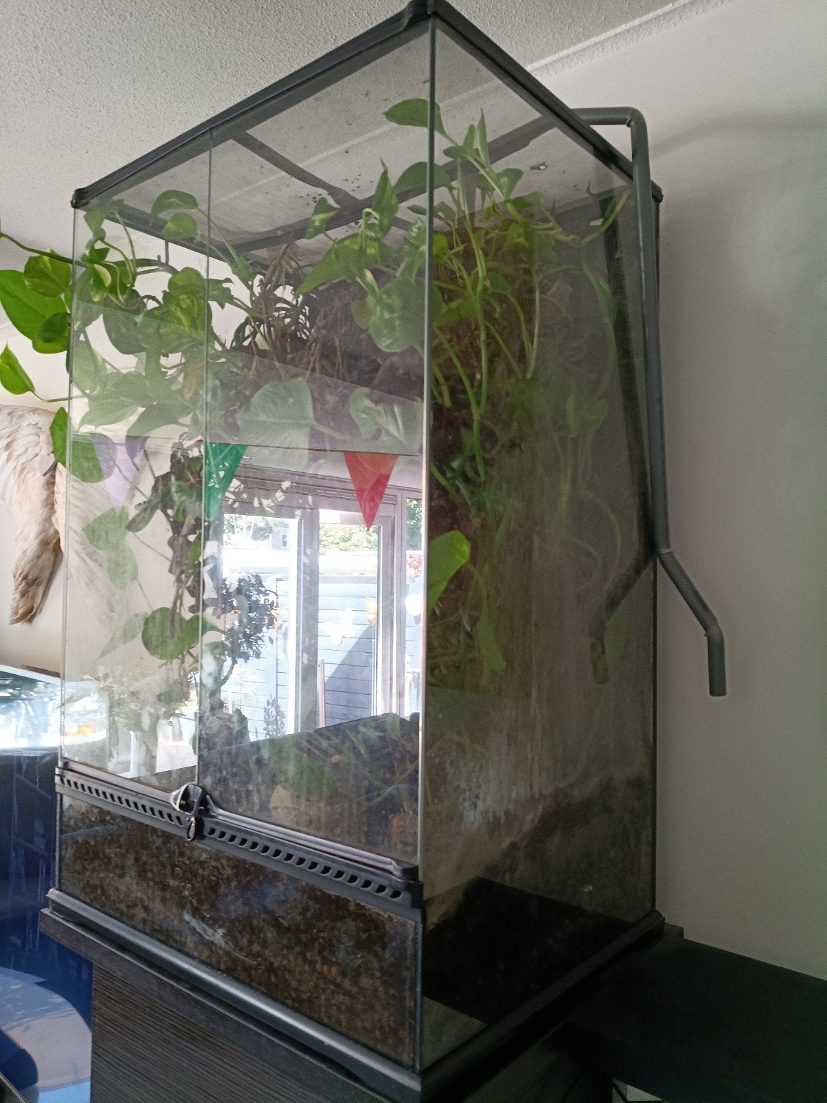 Terrarium Exo terra, Ophalen, Gebruikt, Terrarium of Paludarium
