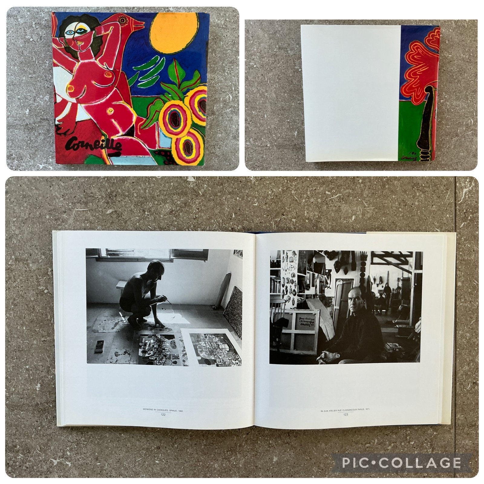 Kunstboek 'Corneille: Het oog van de zomer' (1992) (KWF), Ophalen of Verzenden, Zo goed als nieuw