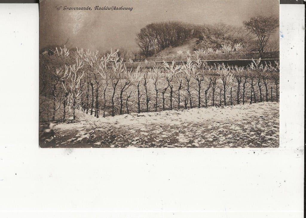 s Gravenzande Naaldwijkscheweg in de sneeuw, Ophalen of Verzenden, Voor 1920, Ongelopen, Zuid-Holland