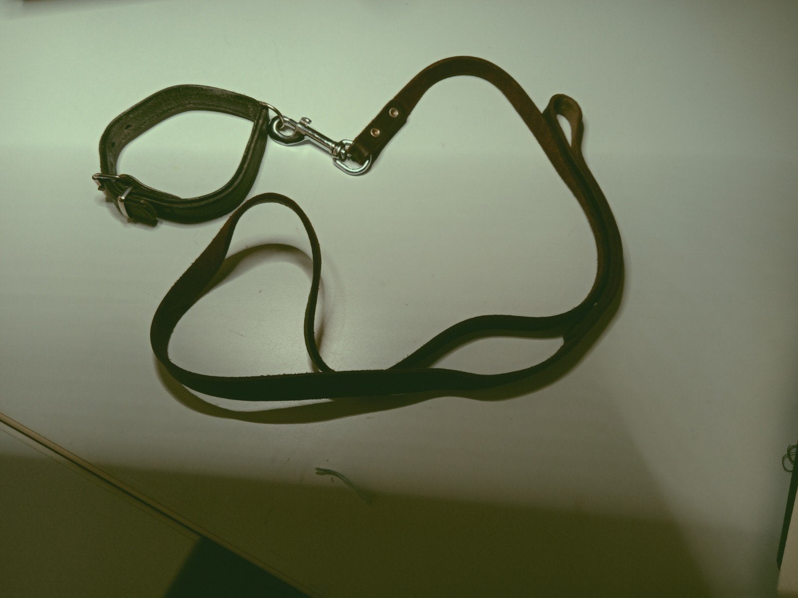 Leren halsband met riem 140 cm voor kleine hond, Ophalen