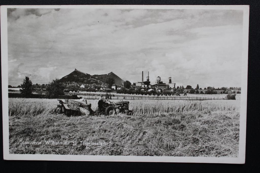 1964 ANSICHTKAART TERWINSELEN STAATSMIJN WILHELMINA GEL., Ophalen of Verzenden, 1960 tot 1980, Gelopen, Limburg