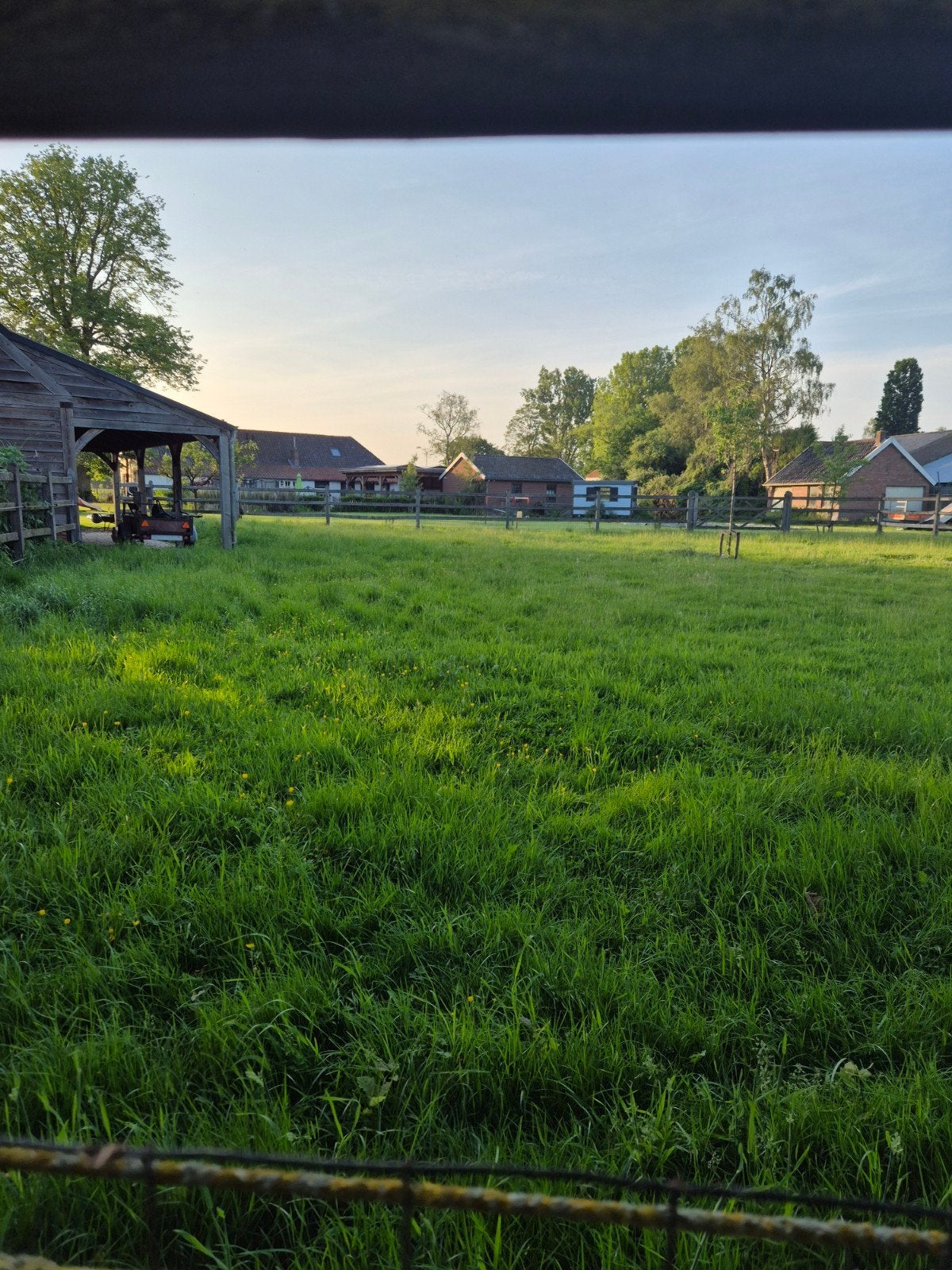 Dierenweide + overkapping te huur, Dieren en Toebehoren, Stalling en Weidegang