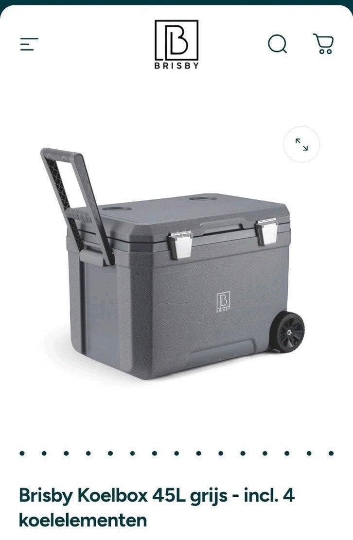 Brisby Koelbox 45L grijs, Ophalen, Nieuw, Koelbox, Koelelement