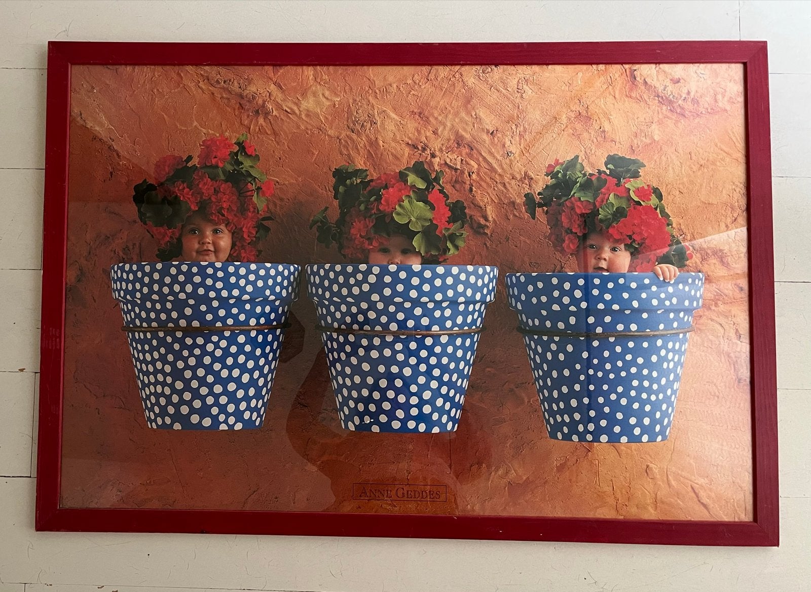 Anne Geddes Baby's in Bloempotten Poster met houten lijst, Ophalen, 50 – 75, Gebruikt, Print