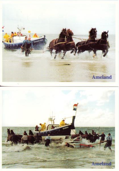 5 ansichtkaarten Ameland - Paarden reddingsboot. Ongelopen, Verzamelen, Ophalen of Verzenden, 1960 tot 1980, Ongelopen, Waddeneilanden