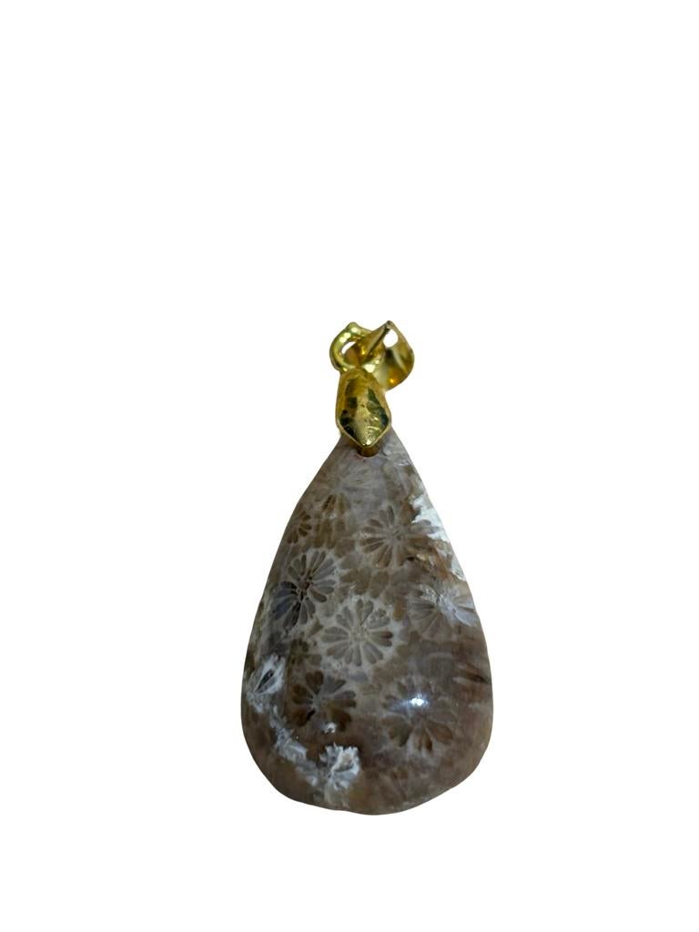 Fossielkoraal hanger met roestvrijstalen oogje, Overige voorstellingen, Bruin, Nieuw, Ophalen of Verzenden