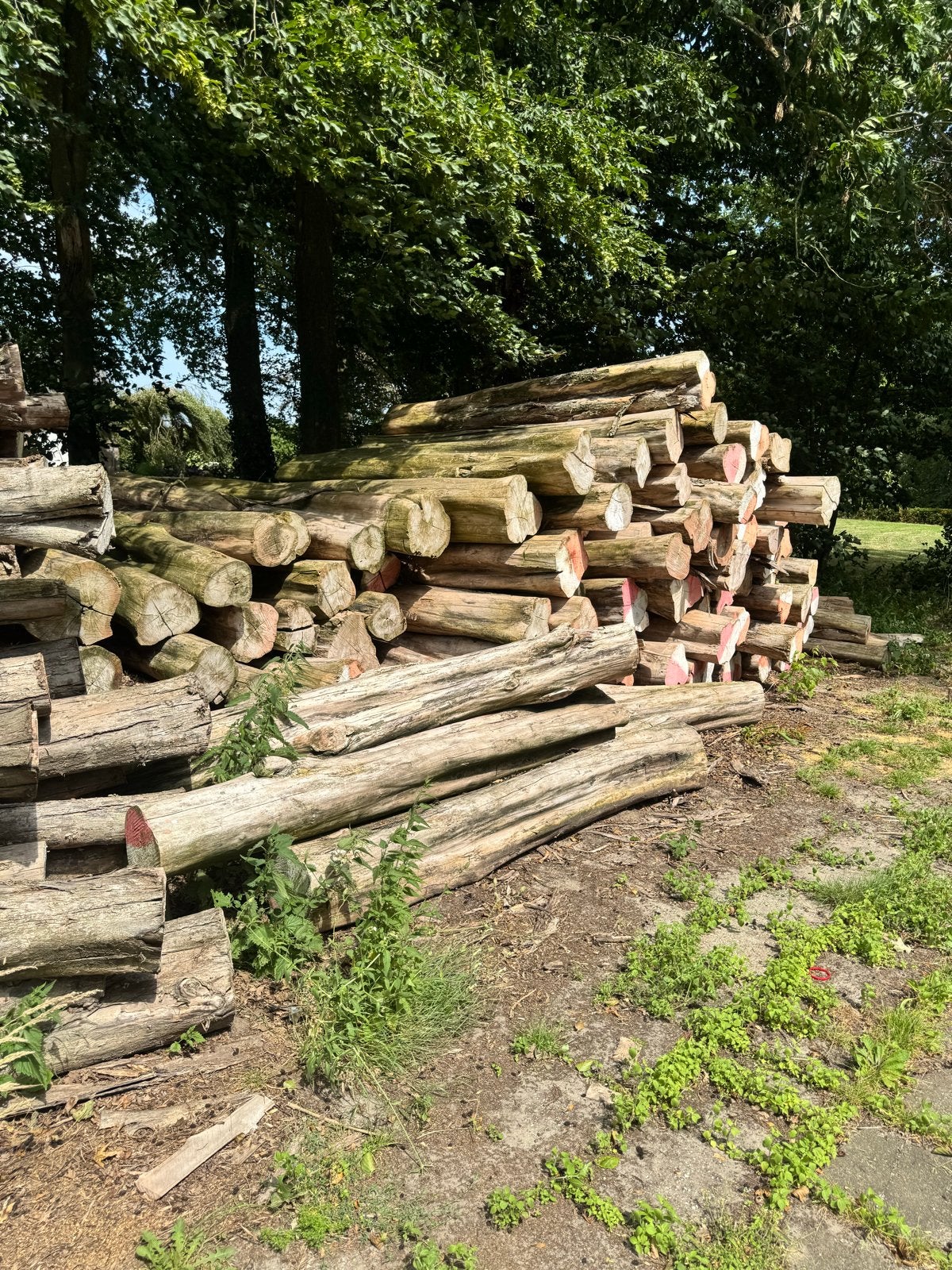 Teak houten boomstammen 2.5m en 6m - Hele of deelpartij, Doe-het-zelf en Verbouw, Hout en Planken, Ophalen, Gebruikt, Overige typen