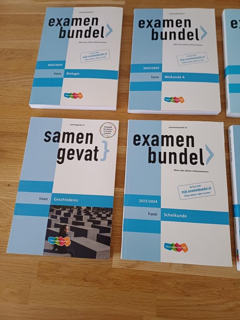 Examenbundels & Samengevat HAVO (diverse vakken, Boeken, Schoolboeken, Zo goed als nieuw, HAVO, Ophalen