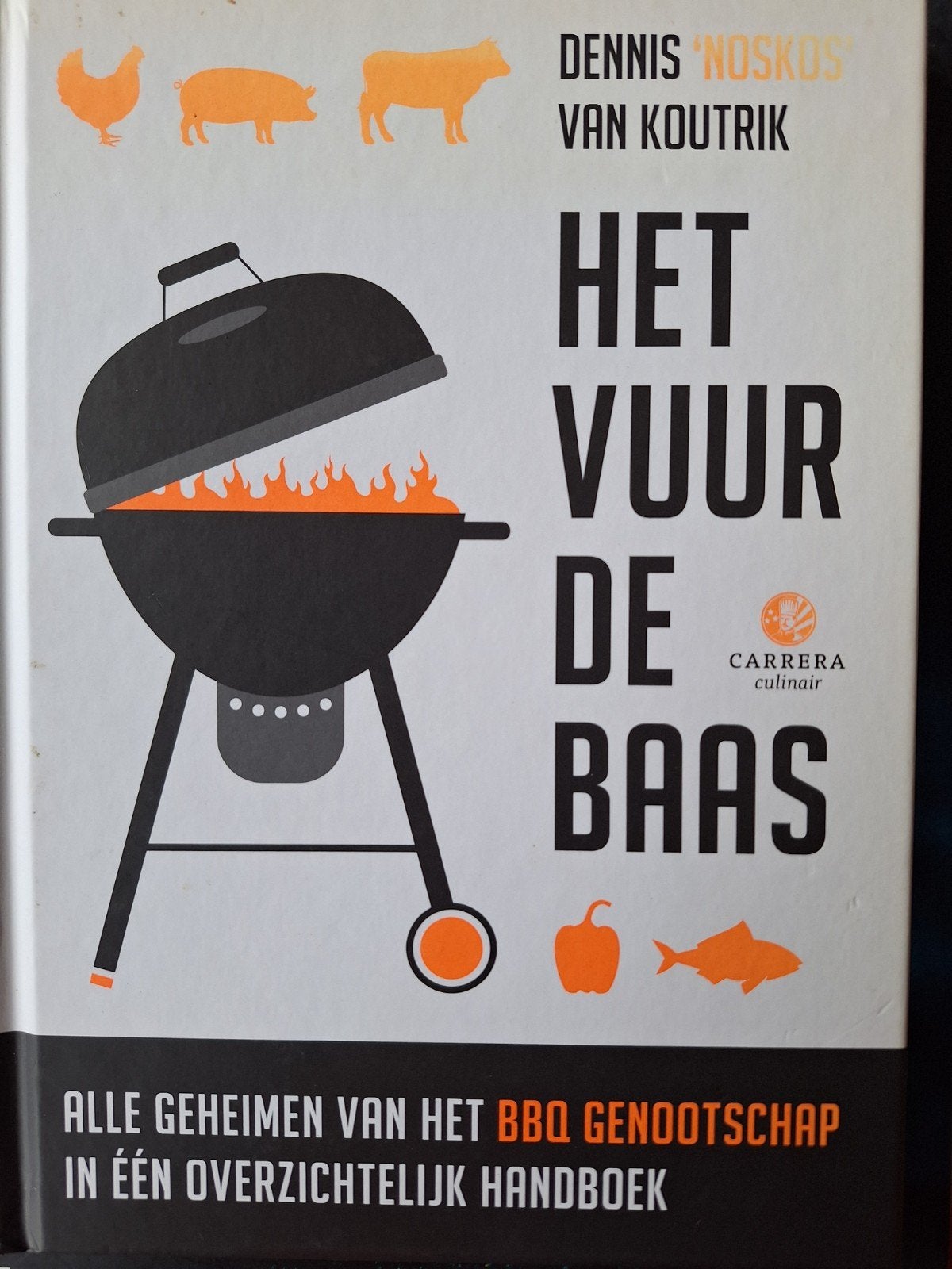 Het vuur de baas – Dennis van Koutrik ZGAN ZELDZAAM!!, Ophalen of Verzenden, Zo goed als nieuw