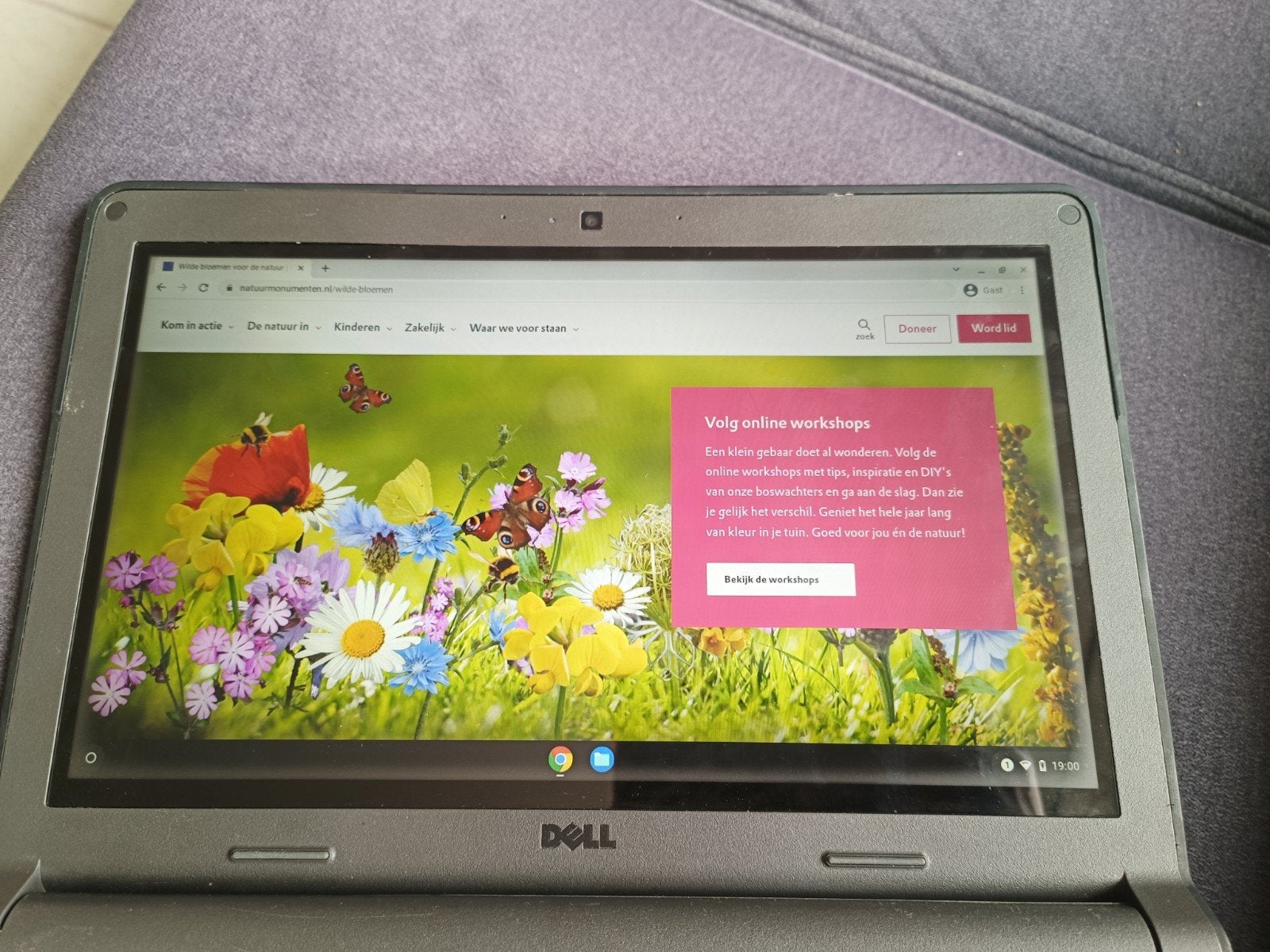 Dell Chromebook 11 P22T, Qwerty, Touchscreen, Ophalen of Verzenden, Dell