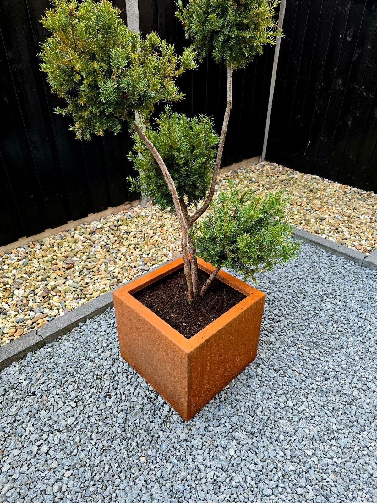 Cortenstaal bloembak, Tuin en Terras, Bloeit niet, Halfschaduw, Minder dan 100 cm, Overige soorten