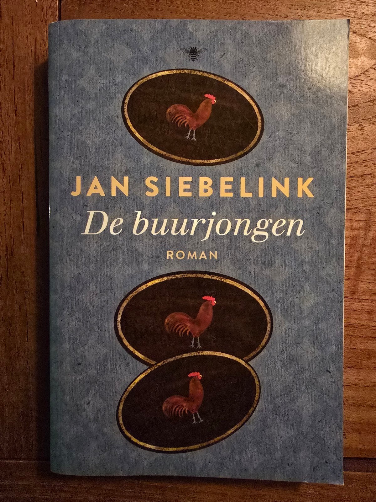 Jan Siebelink - De buurjongen (Roman), Jan Siebelink, Nieuw, Ophalen of Verzenden, Nederland