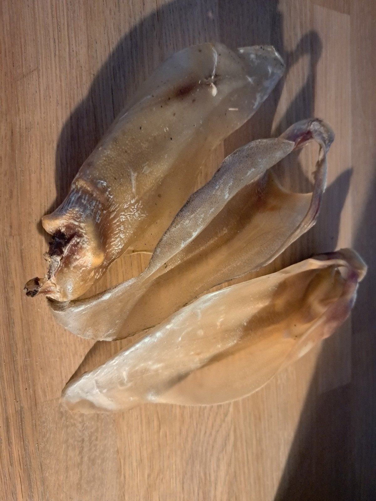 Buffel oren, Ophalen of Verzenden, Hond