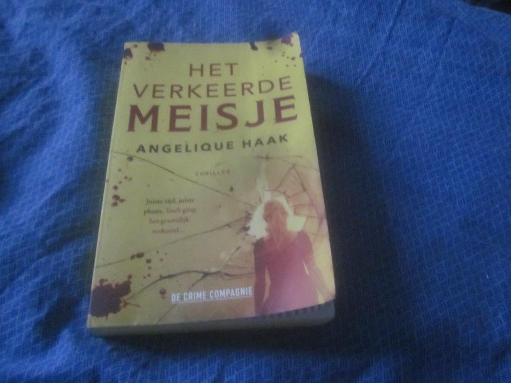 Het verkeerde meisje : thriller Angelique Haak zgan, Boeken, Ophalen of Verzenden, Zo goed als nieuw, Nederland, Angelique Haak