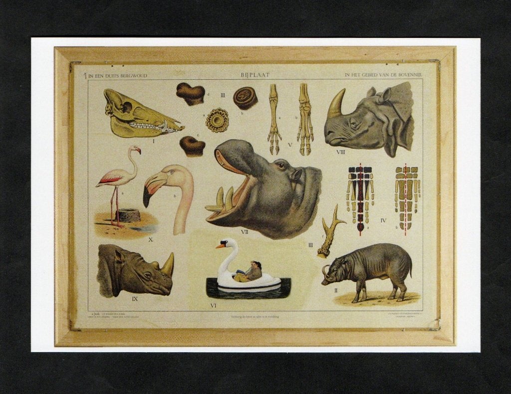 Schoolplaat Ansichtkaart Bovennijl Nijlpaard Neushoorn., Verzamelen, Ansichtkaarten | Dieren, Ophalen of Verzenden, 1980 tot heden
