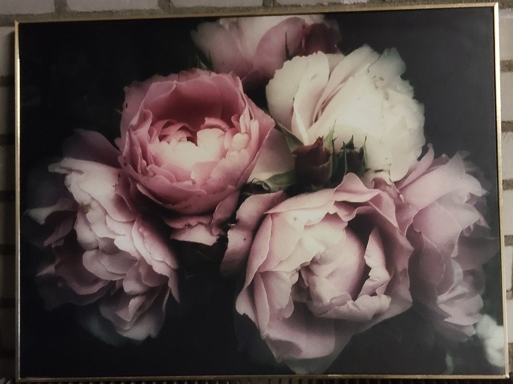 Mooi- Pioenrozen Schilderij, Ophalen of Verzenden, Zo goed als nieuw, Schilderij