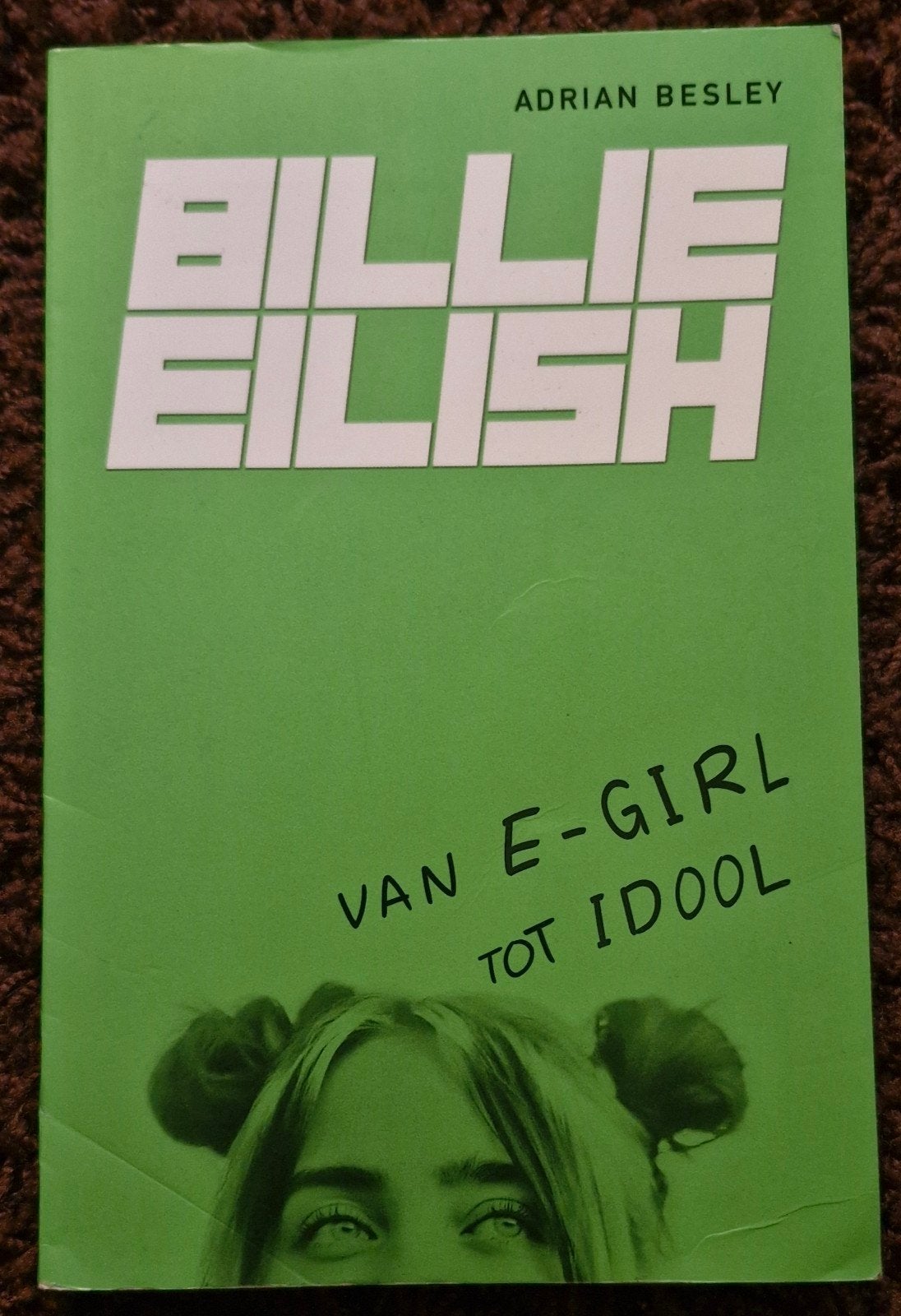Billie Eilish: Van E-Girl tot Idool - Adrian Besley, Boeken, Ophalen of Verzenden, Gelezen, Adrian Besley, Nederland