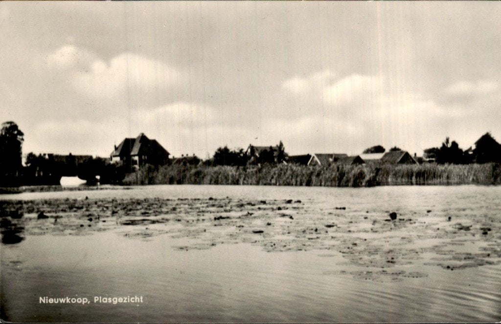 Nieuwkoop - Plas - Gezicht, Ophalen of Verzenden, 1960 tot 1980, Gelopen, Zuid-Holland