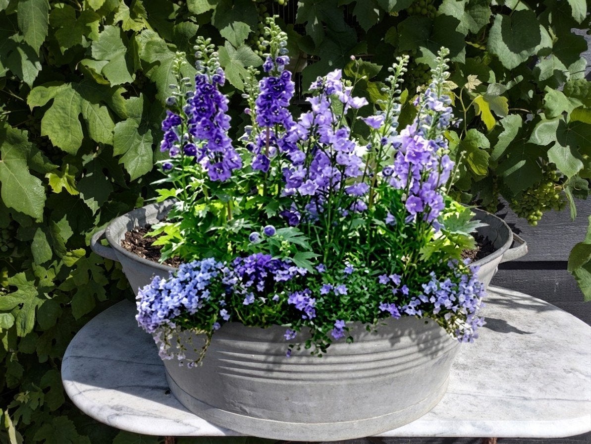 Zinken teil, Tuin en Terras, Bloembakken en Plantenbakken, Ophalen, Gebruikt, Metaal, 30 tot 60 cm