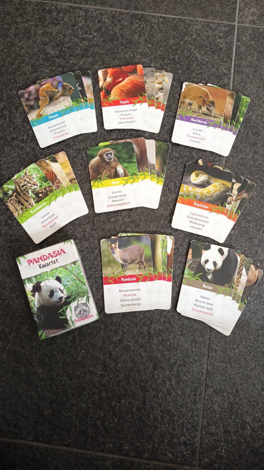 Pandasia Kwartetspel - Ouwehands Dierenpark, Ophalen of Verzenden, Gebruikt