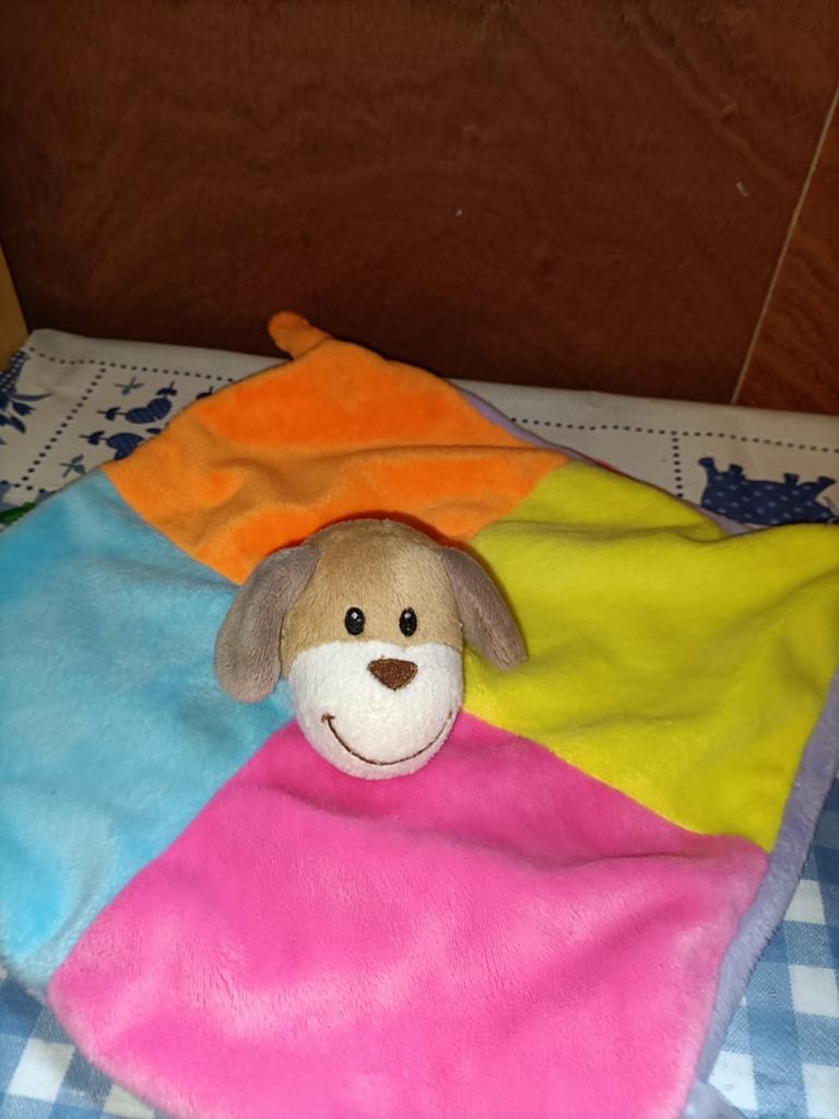 Zeeman hond knuffeldoekje met allerlei kleuren, Ophalen of Verzenden, Zo goed als nieuw, Hond