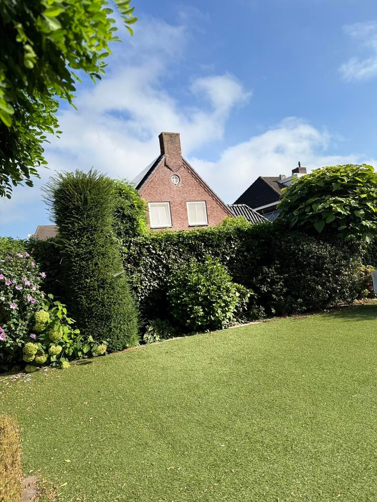 Hovenier/tuinman, Diensten en Vakmensen, Tuinmannen en Stratenmakers, Tuinonderhoud of Snoeiwerk