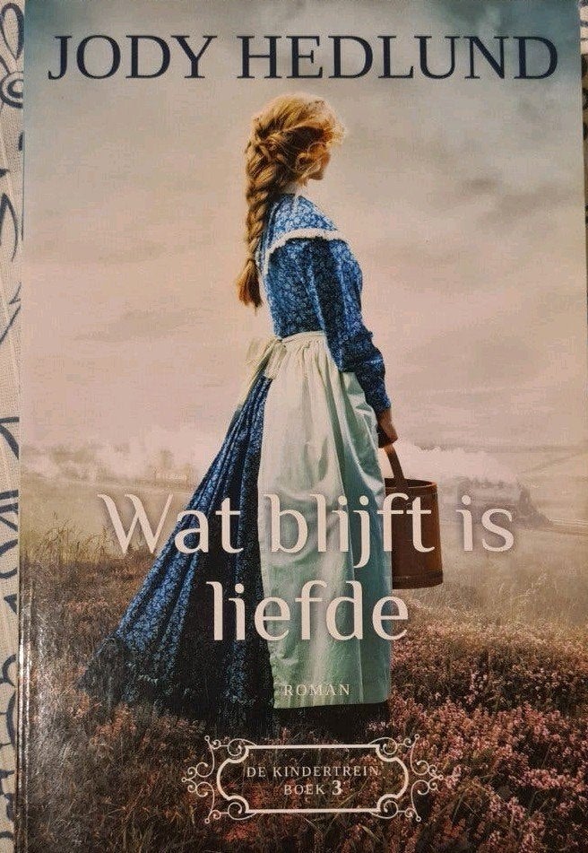 De Kindertrein Boek 1  en 3 - Jody Hedlund, Ophalen of Verzenden, Zo goed als nieuw, Jody Hedlund, Amerika