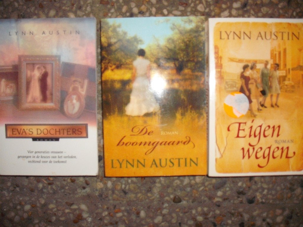 Lynn Austin 3x roman boeken in 1 koop, Ophalen, Gelezen, Lynn Austin