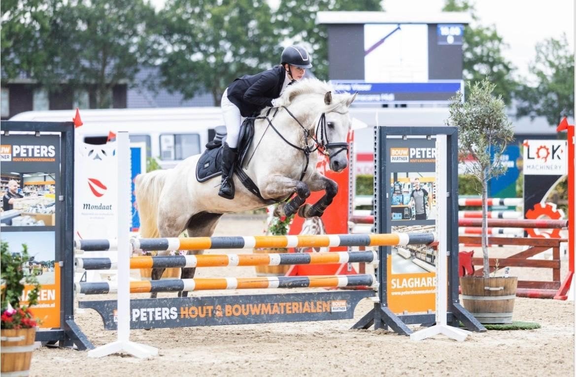 knappe allround D pony 1.48, Dieren en Toebehoren, Merrie