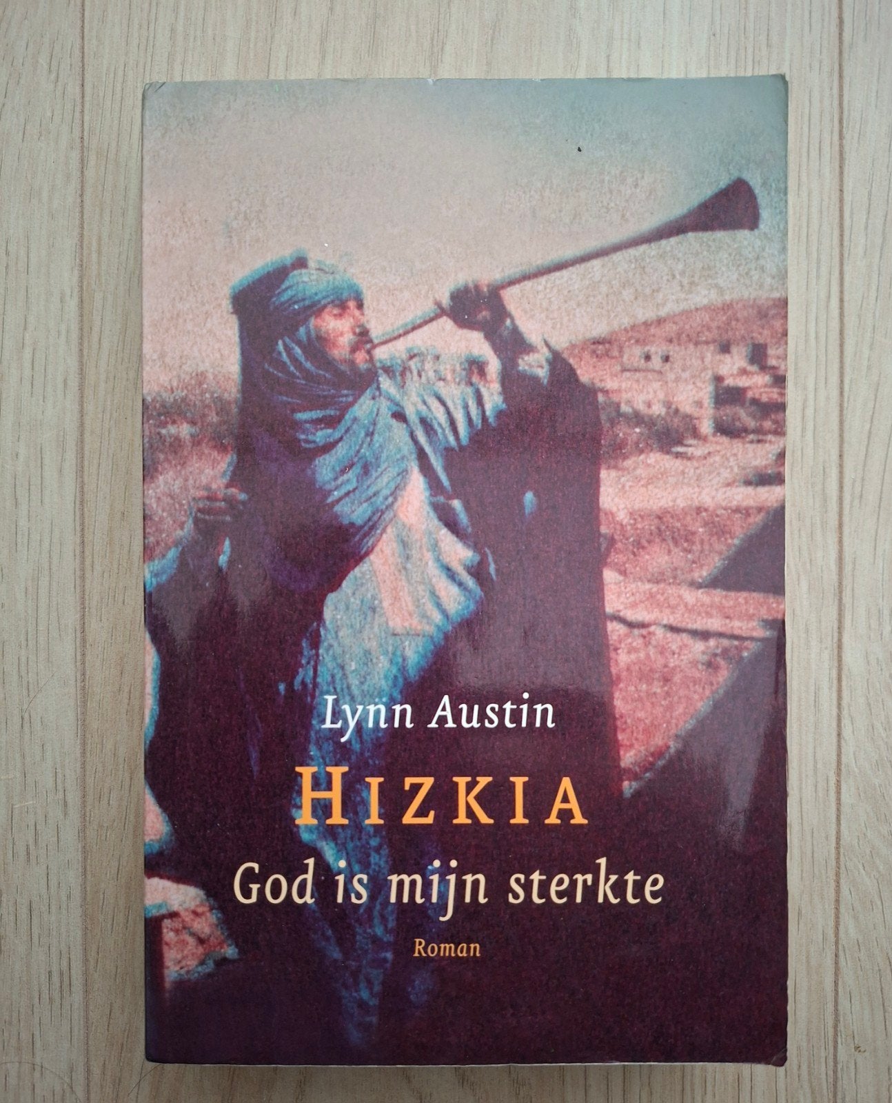 Hizkia: God is mijn sterkte - Lynn Austin (Roman), Boeken, Ophalen of Verzenden, Gelezen, Lynn Austin