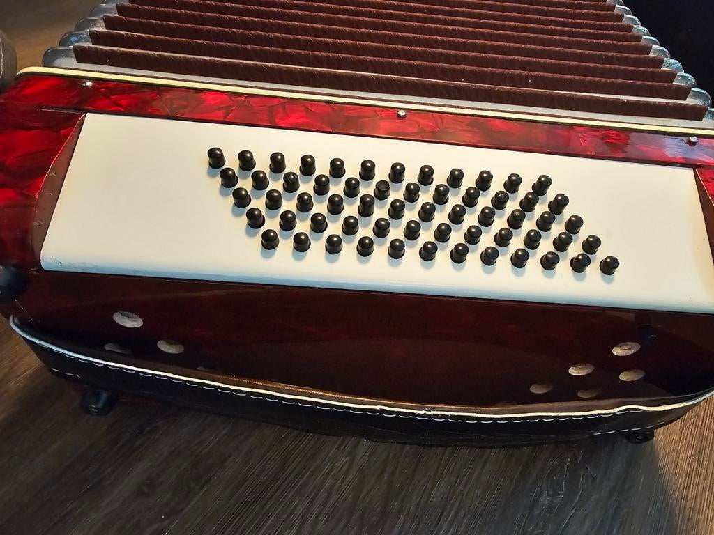 Parrot accordeon, Muziek en Instrumenten, Ophalen of Verzenden