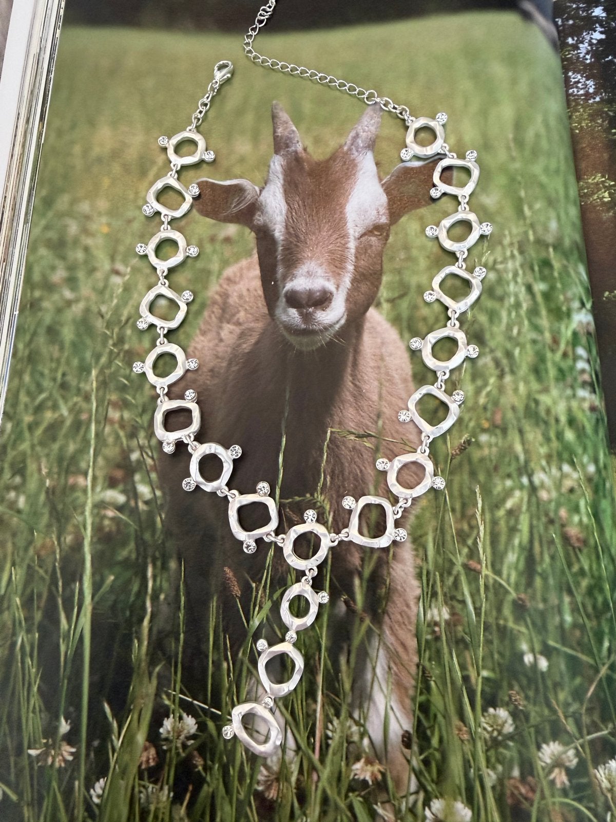 Zilverkleurige Statement Ketting met Strassteentjes, Overige materialen, Nieuw, Ophalen of Verzenden, Zilver