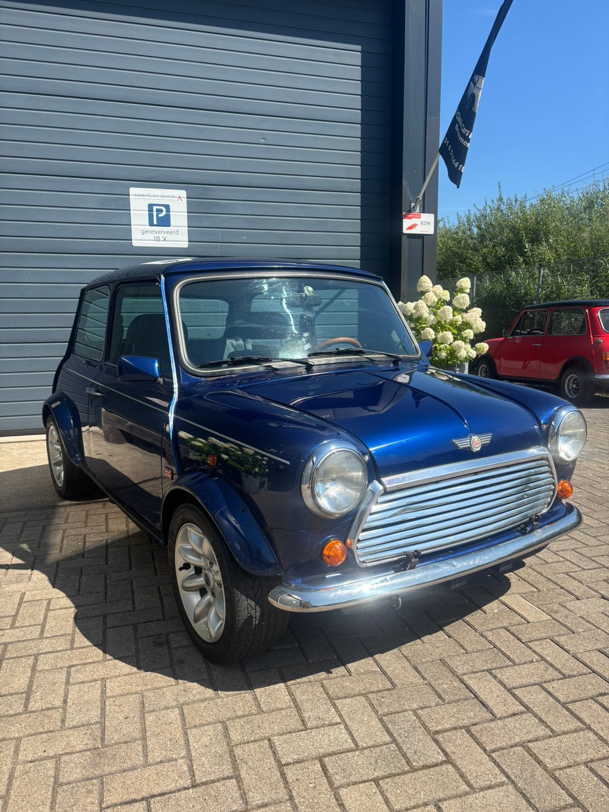 Classic mini blue star edition bouwjaar 1996, 4 cilinders, Blauw, Leder, Bedrijf