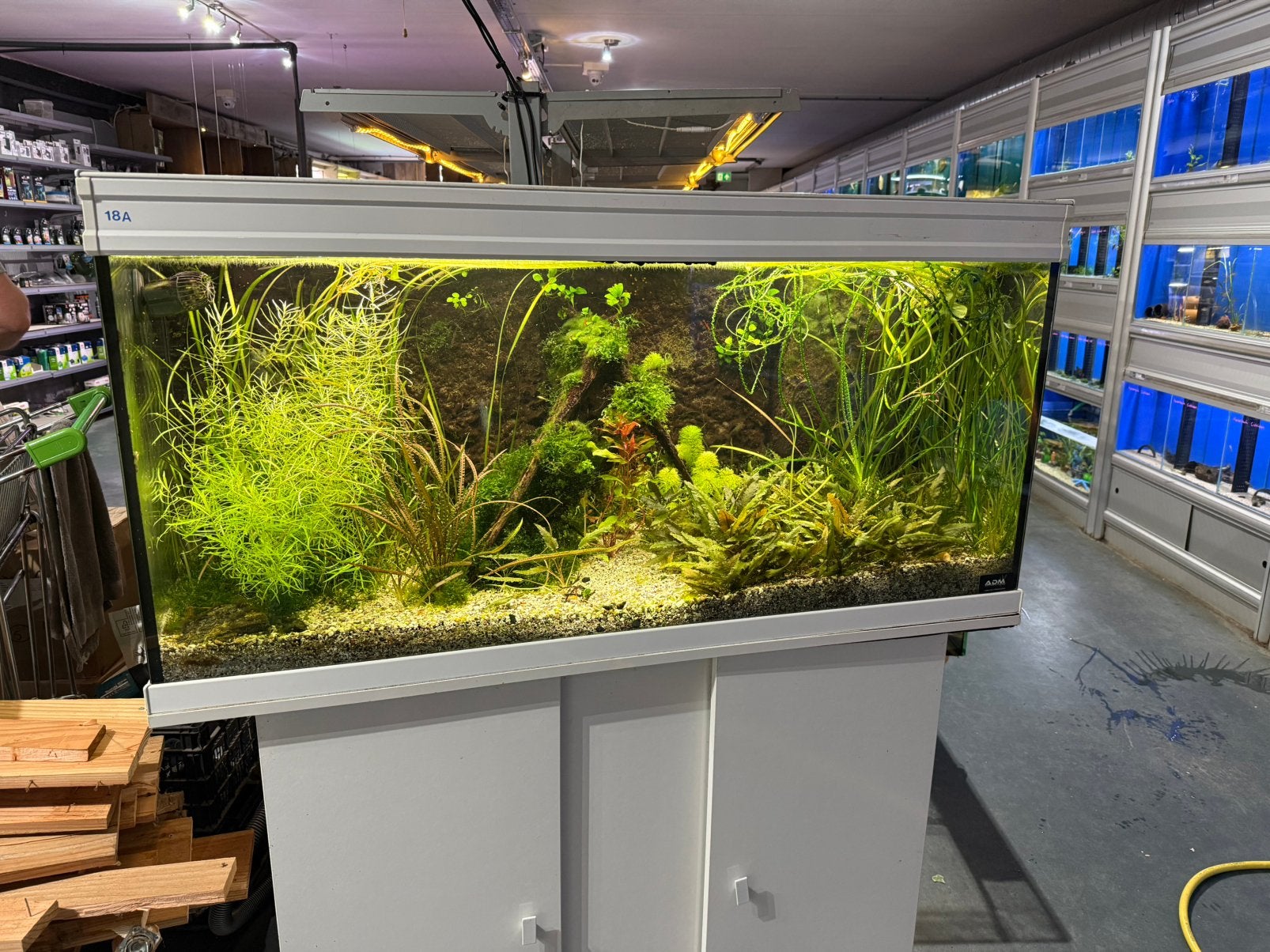 Aquarium 120b/60h/40diep, Ophalen, Gebruikt, Decoratie