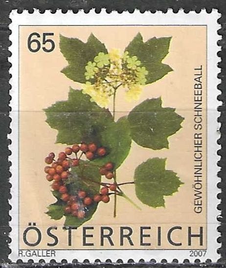 Oostenrijk 2007 - Yvert 2507 - Gelderse roos - 65 c. (PF), Verzenden, Postfris