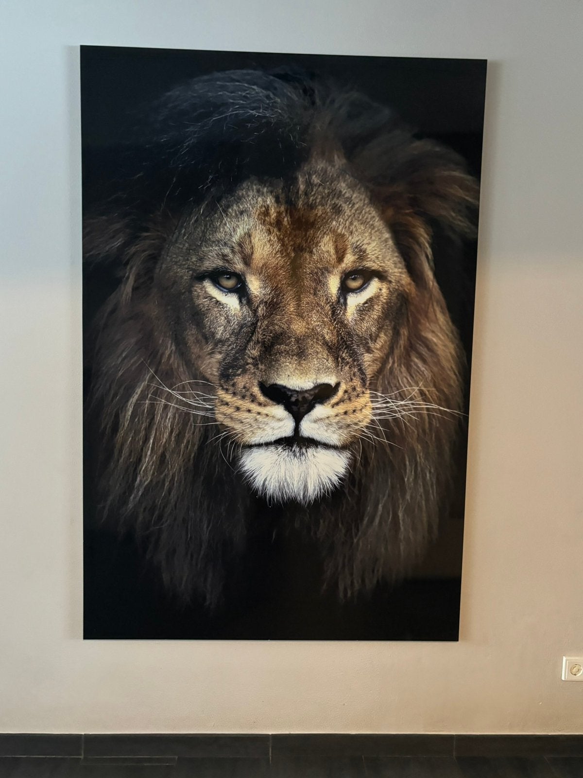 Groot schilderij Mondiart leeuw 120x180 cm, Ophalen, Zo goed als nieuw, Schilderij, 100 tot 125 cm