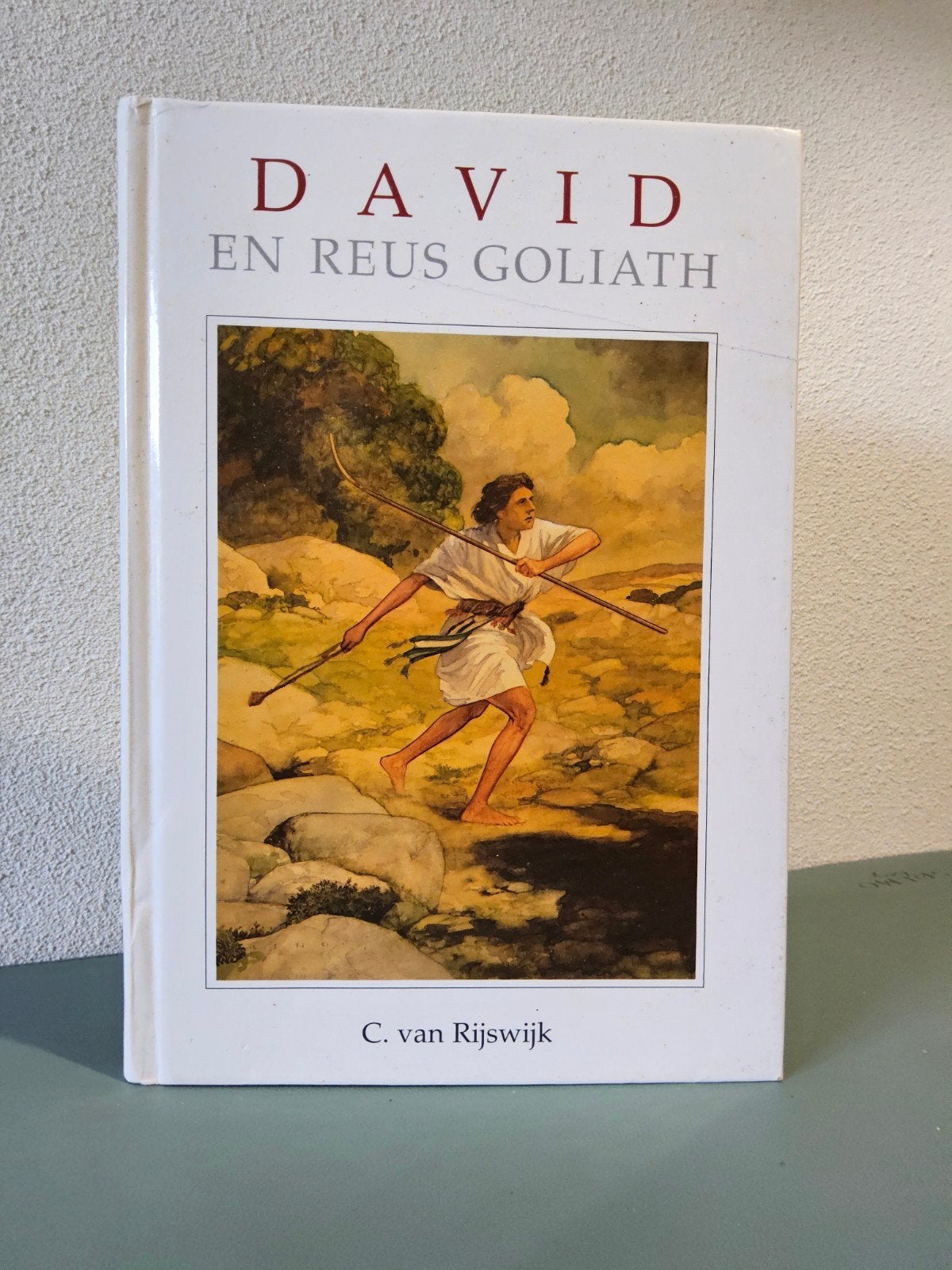 David en Goliath / C. van Rijswijk, Gelezen, Non-fictie, Ophalen of Verzenden, C van Rijswijk