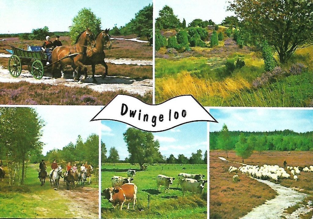 Dwingeloo- -5-luik., Verzenden, 1960 tot 1980, Ongelopen, Friesland