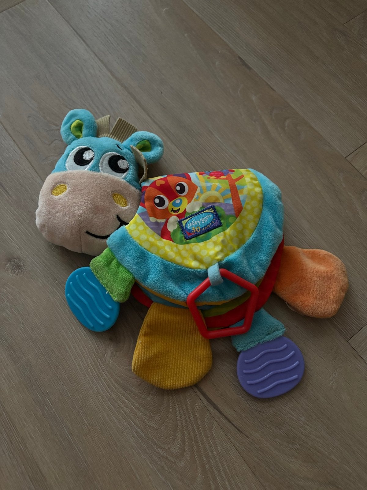 Playgro speelgoed paardje/boekje, Ophalen, Zo goed als nieuw, Overige typen, Met geluid