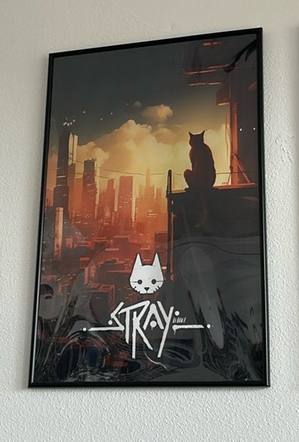 Stray Poster met lijst, Ophalen, Rechthoekig Staand, Met lijst, Zo goed als nieuw