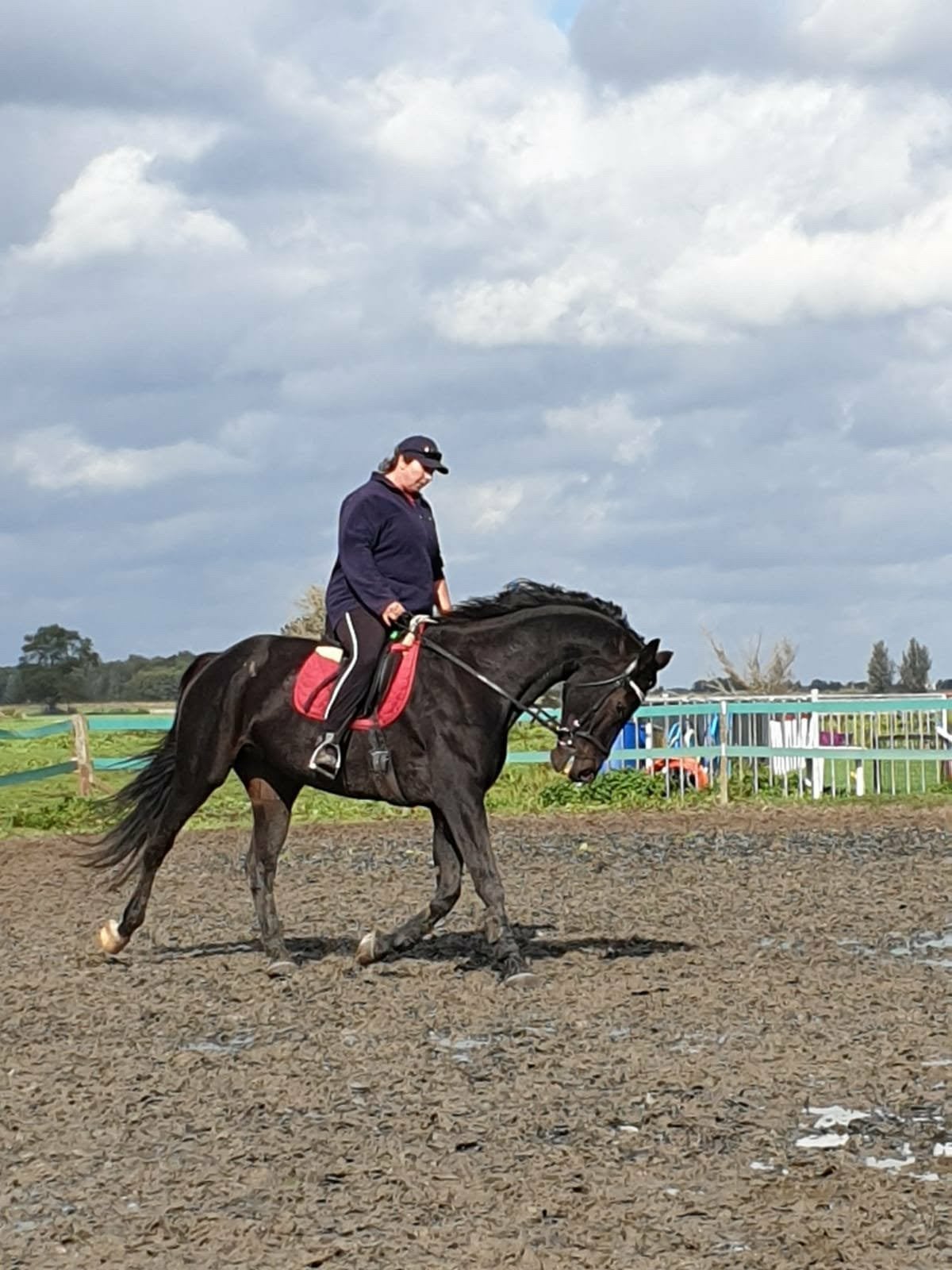 Supermooie en fitte 23 jarige kwpn merrie, Merrie, Recreatiepaard