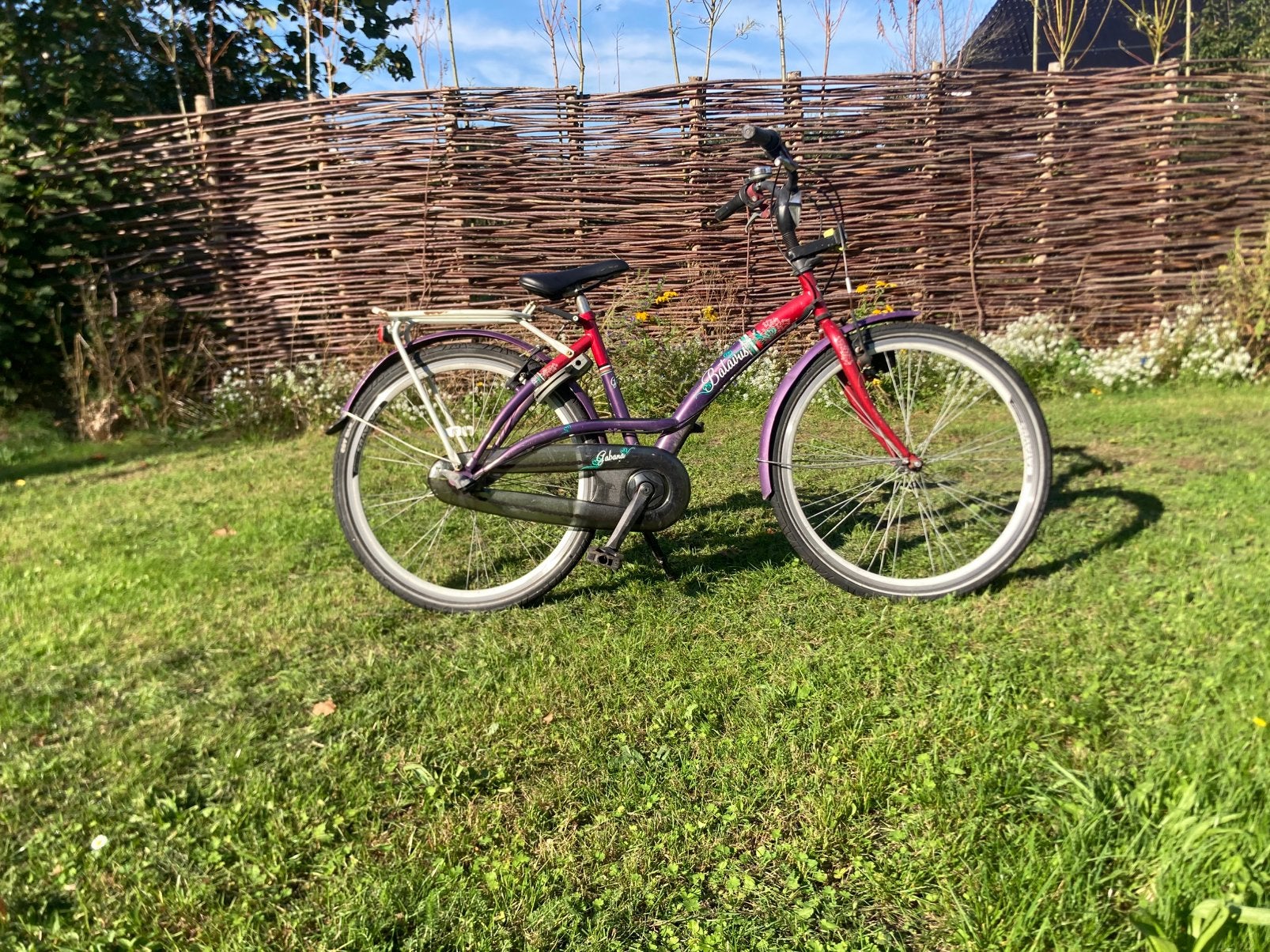 Batavus meisjes fiets, Fietsen en Brommers, Ophalen, Terugtraprem, Gebruikt, Staal