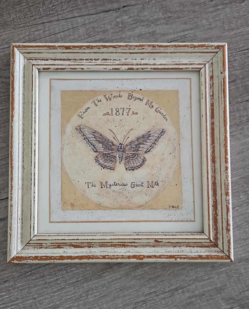 Vintage wanddecoratie the mysterious ghost moth shelley hely, Ophalen of Verzenden, Hout, Minder dan 50 cm, Minder dan 50 cm