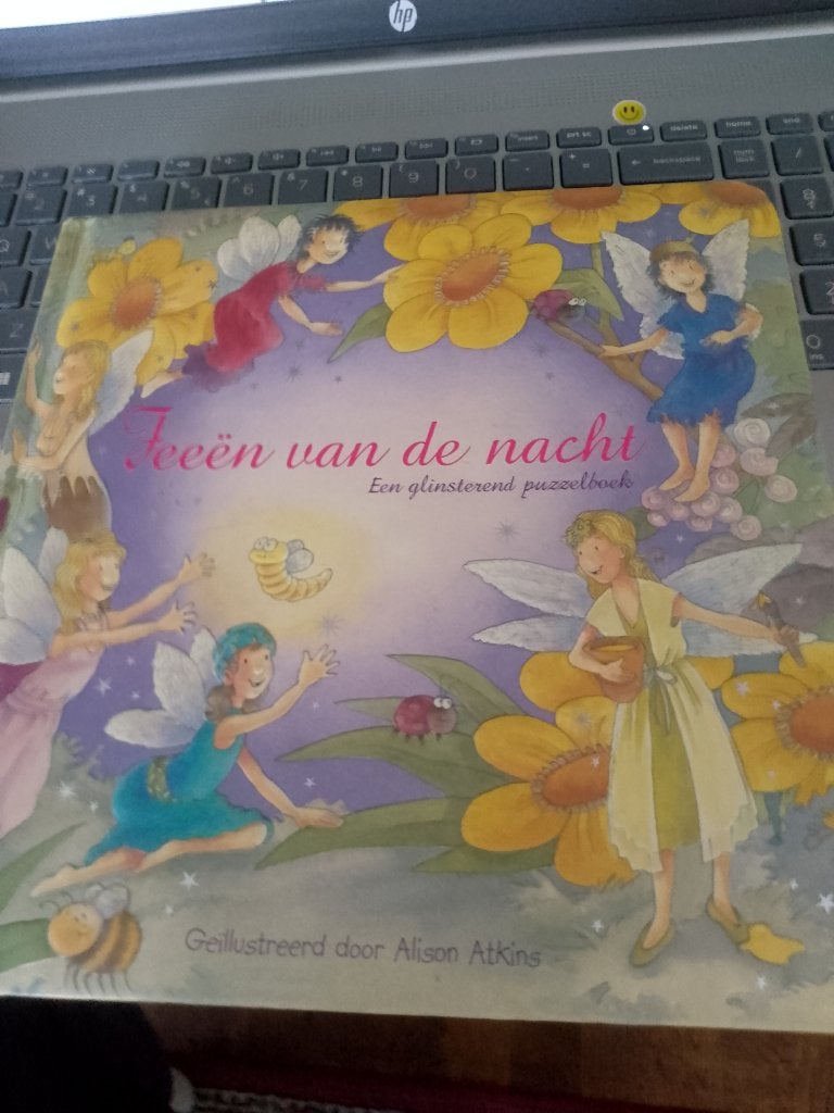boek afveegbaar   feeen van de nacht, Boeken, Ophalen of Verzenden, Zo goed als nieuw, Fictie algemeen