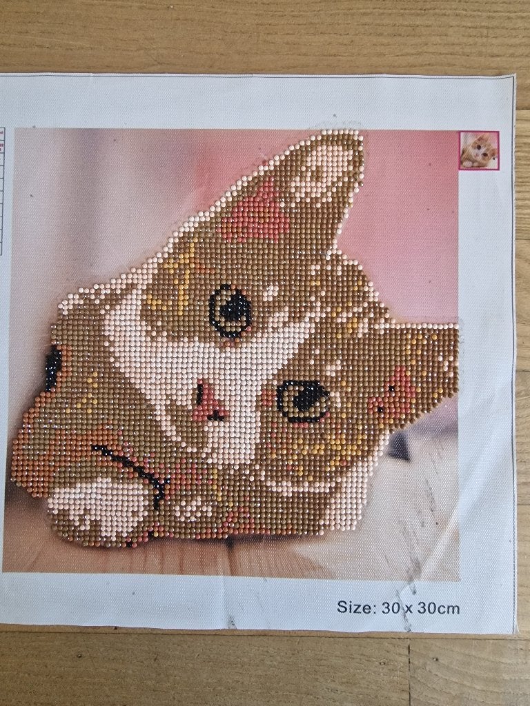 Diamond painting, Ophalen, Nieuw, Klaar om op te hangen, Knutselwerk
