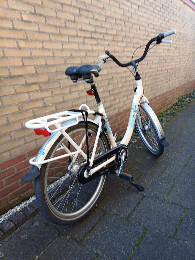 Giant Mio moederfiets, Fietsen en Brommers, Fietsen | Dames | Moederfietsen, Gebruikt, Giant, 50 tot 53 cm, 0 zitjes, Dubbele standaard