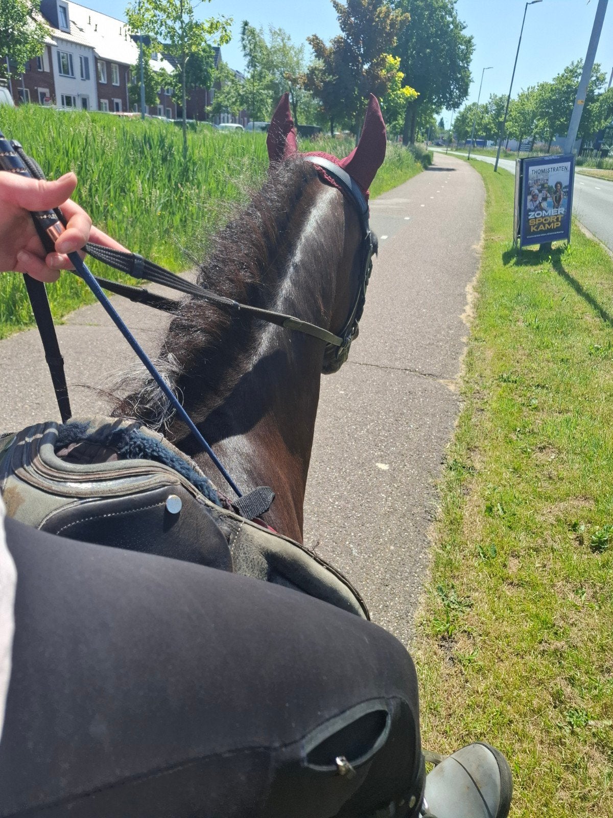 Heel ervaren meisje zoekt bijrijdpony of paard!!!, Dieren en Toebehoren, Ophalen