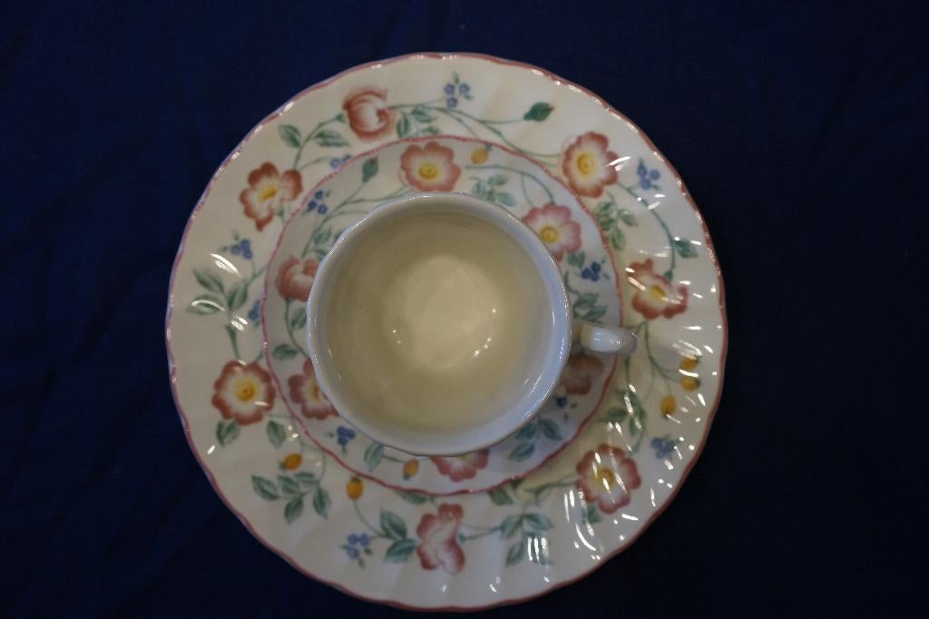 Prachtig Engels Servies - Churchill Briar Rose, Ophalen of Verzenden