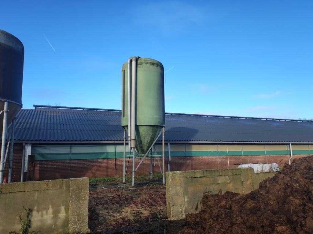 Krachtvoer silo's, Dieren en Toebehoren, Ophalen, Vee