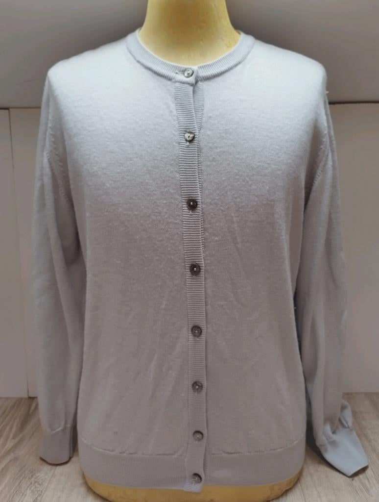 Peter Hahn 100% Tasmanian Wol vest L 42 Grijs, Verzenden, Zo goed als nieuw, Maat 42/44 (L), Grijs